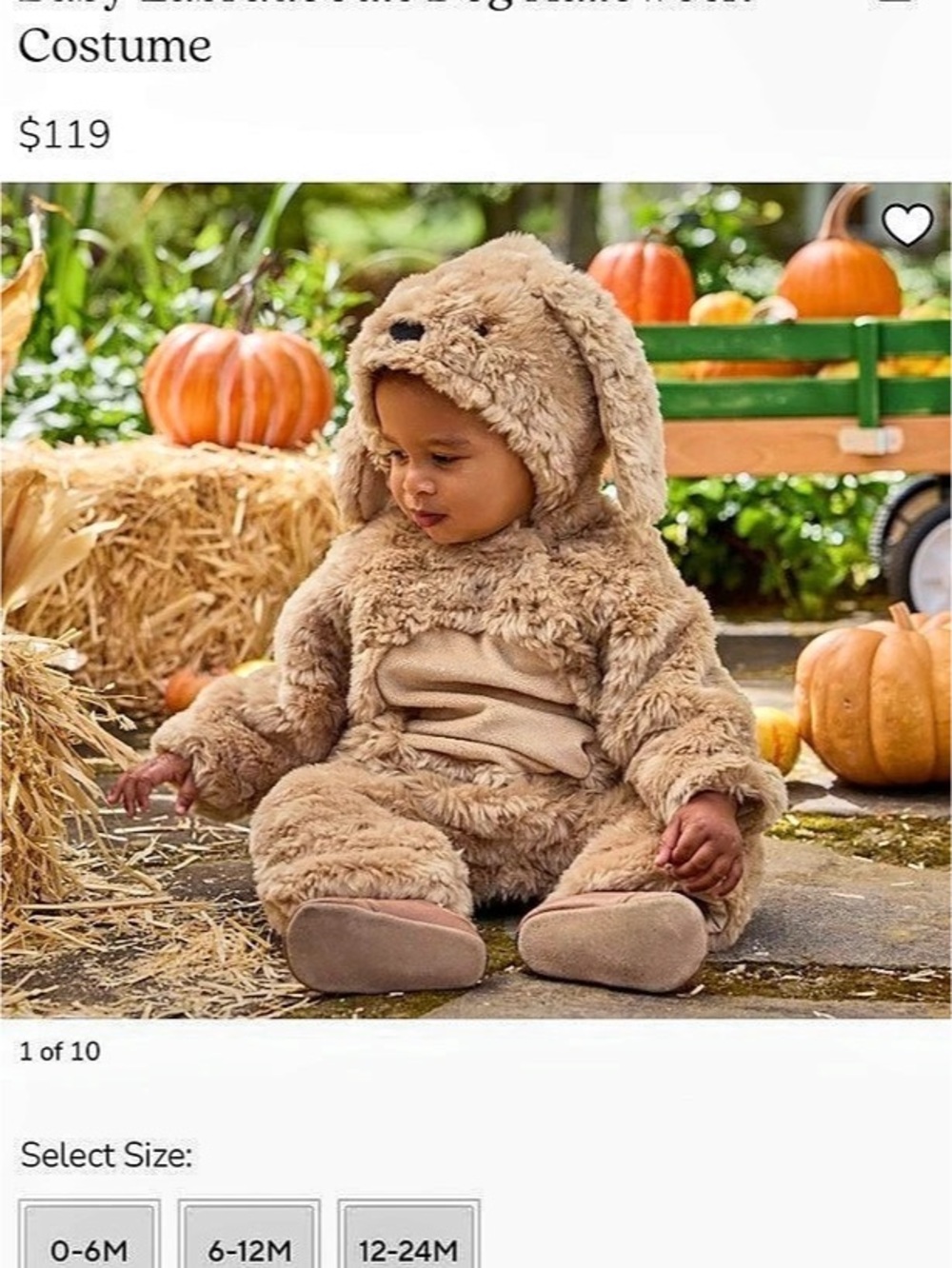 Pottery Barn Kids Baby Labrador Dog Halloween Costume Size 6-12M